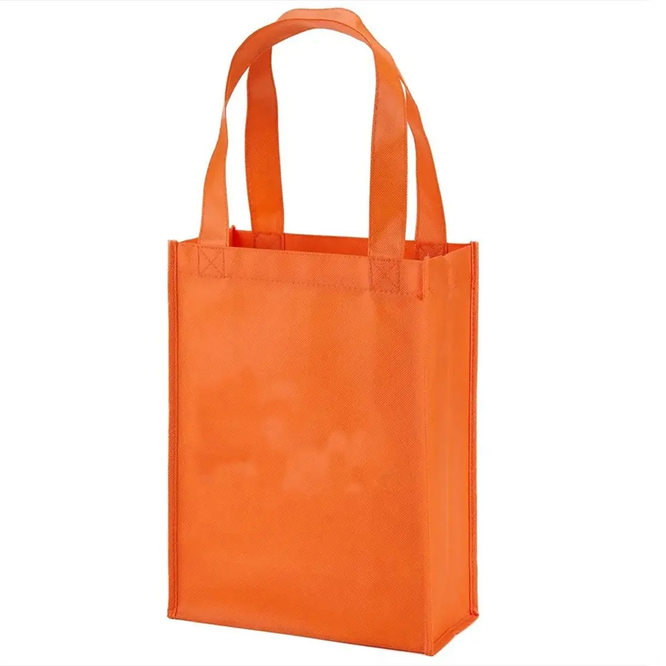 Compact Carry Tote 2