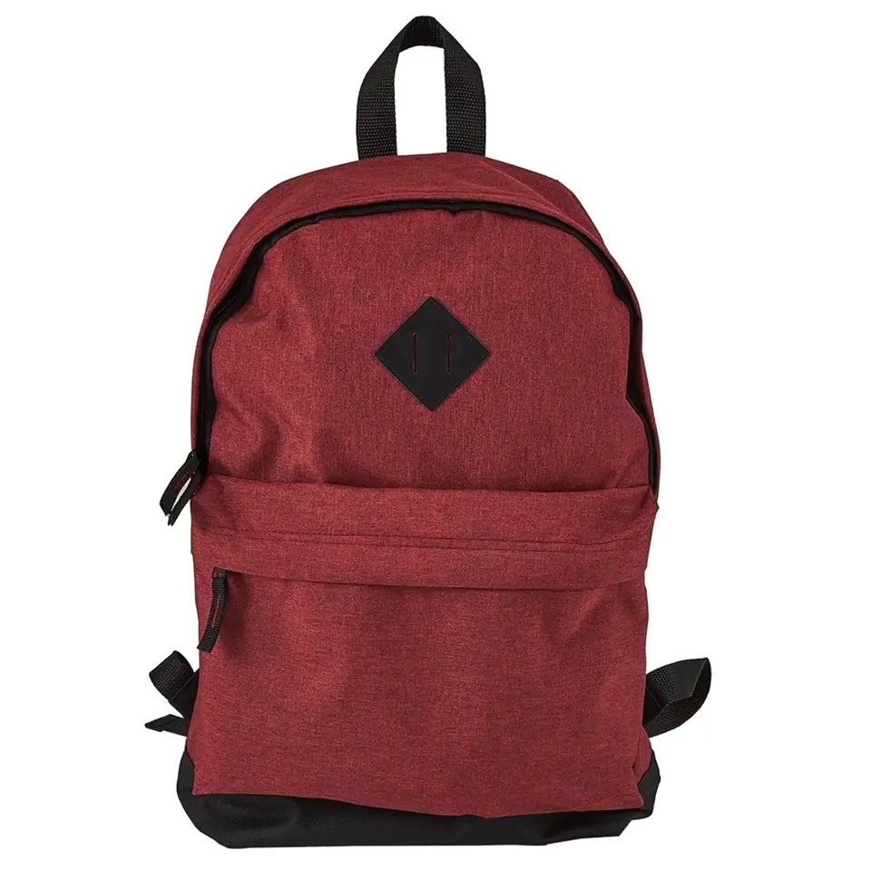 Versatile Everyday Backpack 2