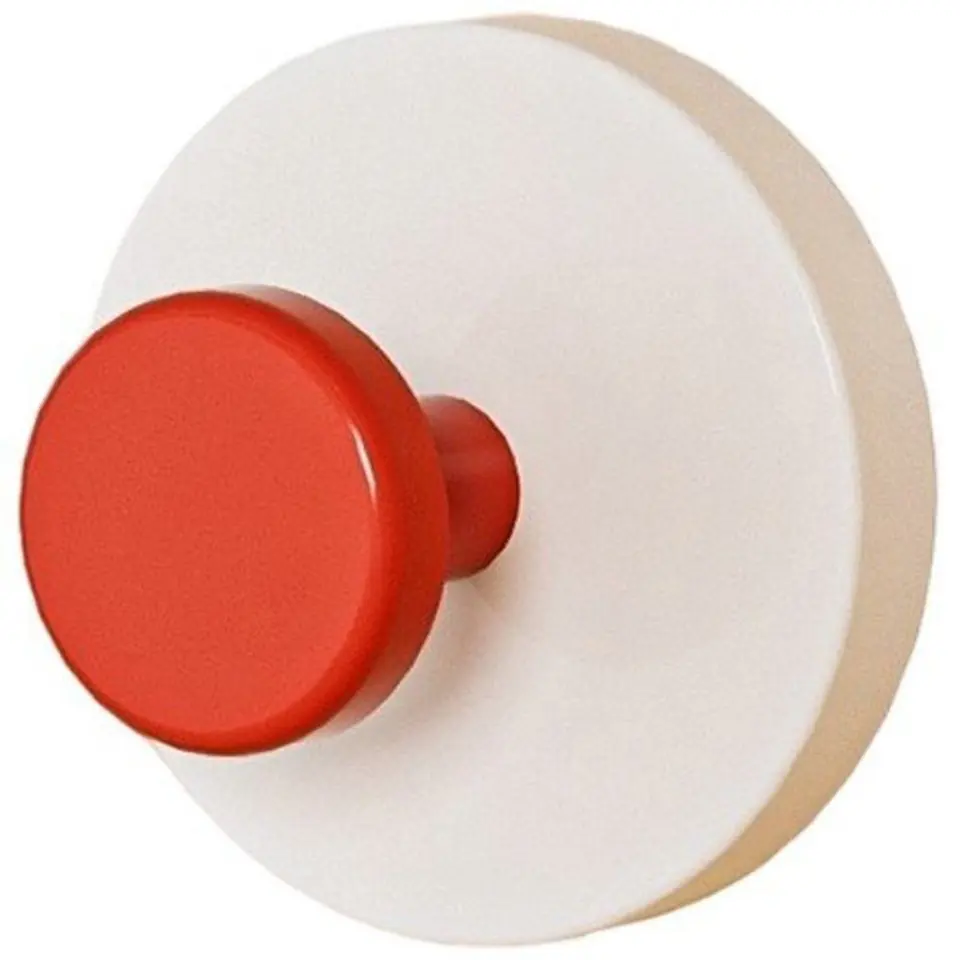 Versatile Adhesive Wall Hook 2