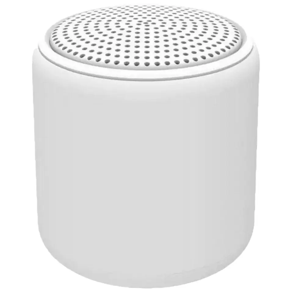 Compact Bluetooth Audio Companion 2