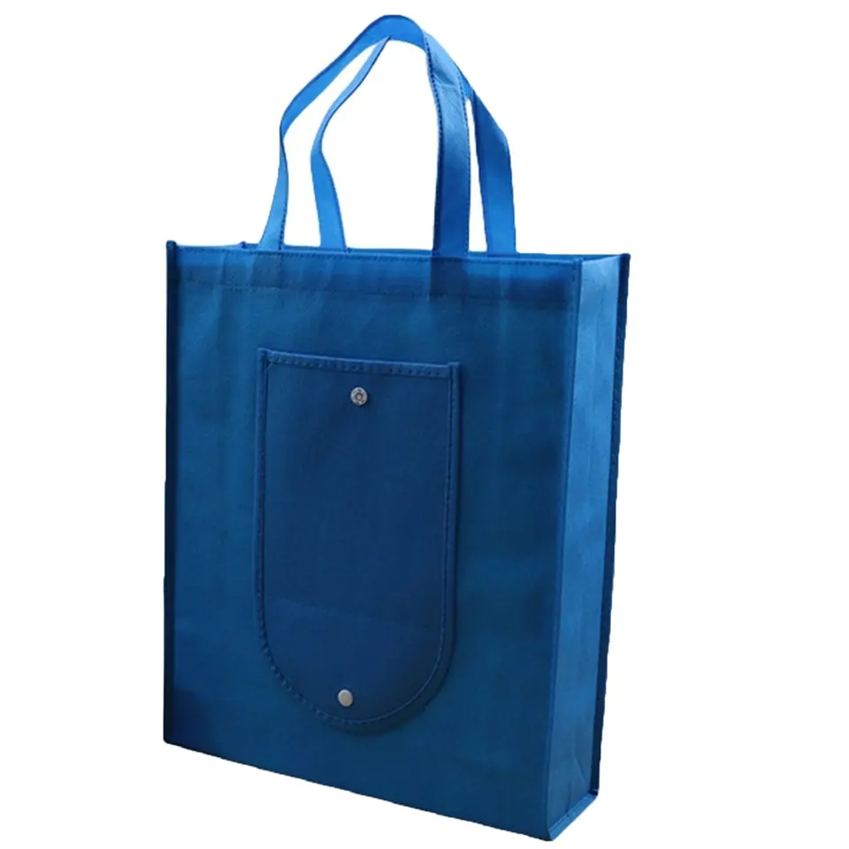 Sustainable Foldable Carry-All 2