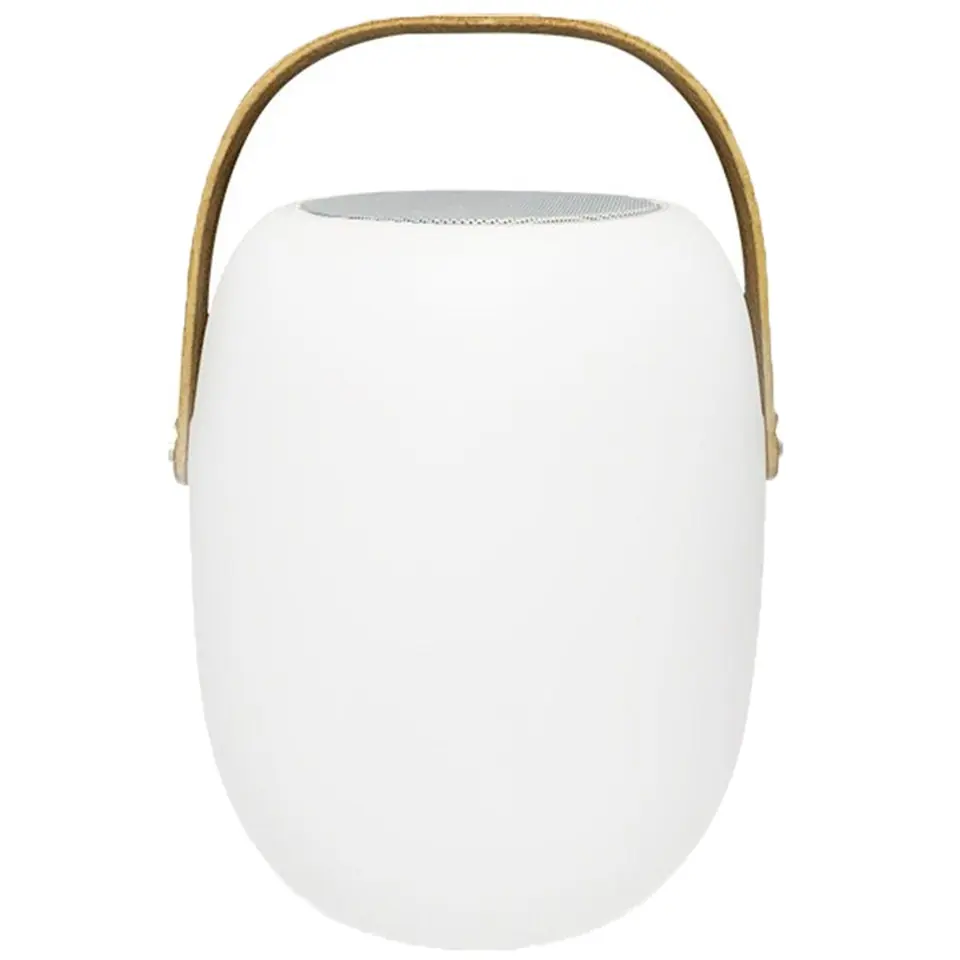 Portable Bluetooth Speaker with Ambient Lighting 2
