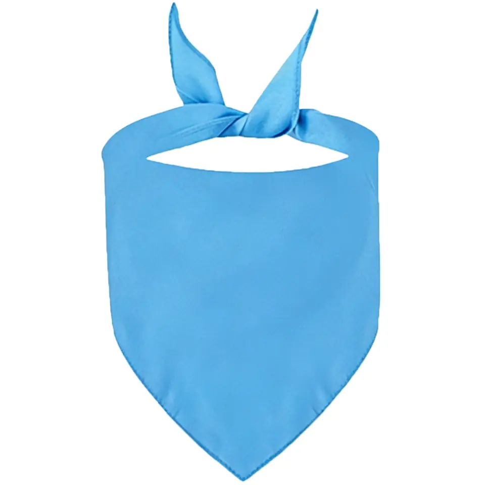Polyester Pet Triangle Scarf 2