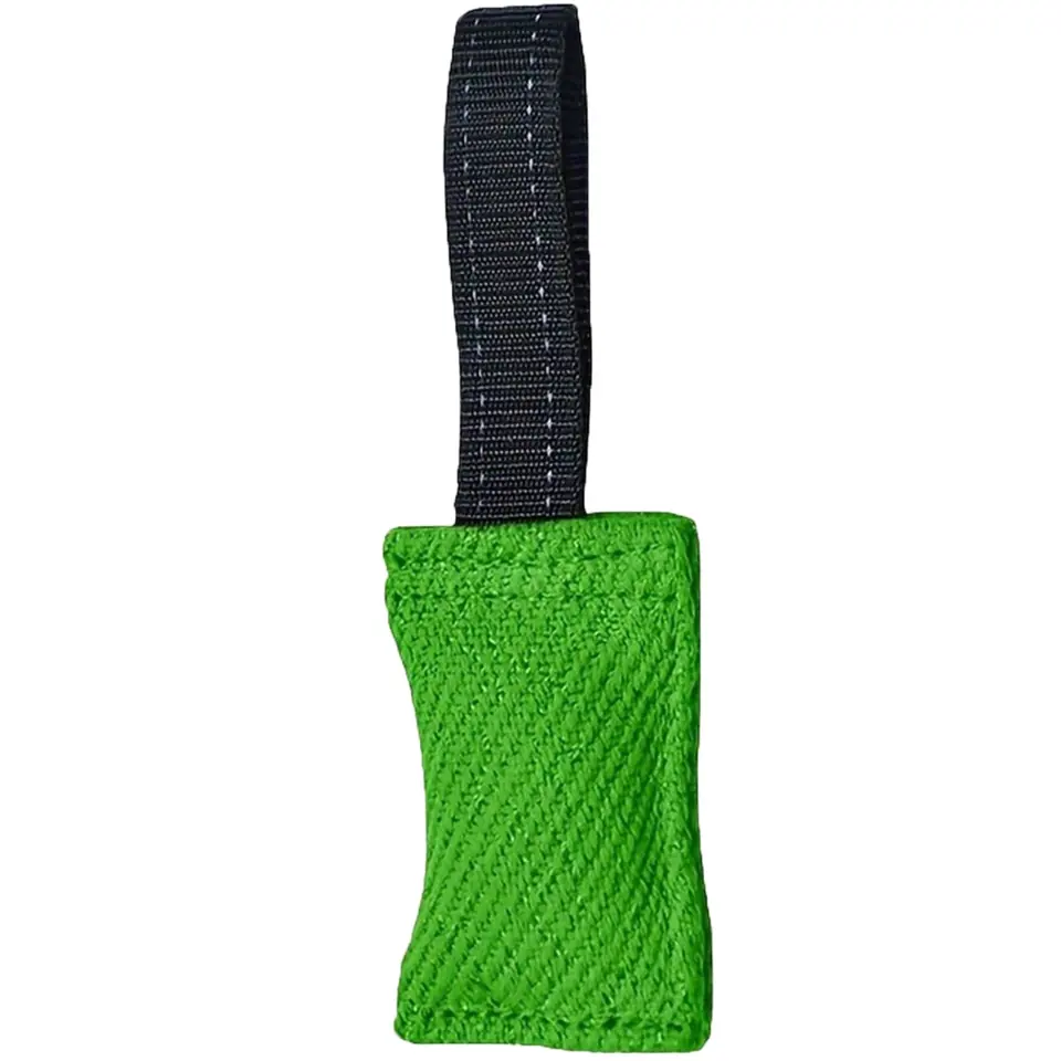 Sturdy Canine Pull Play 2