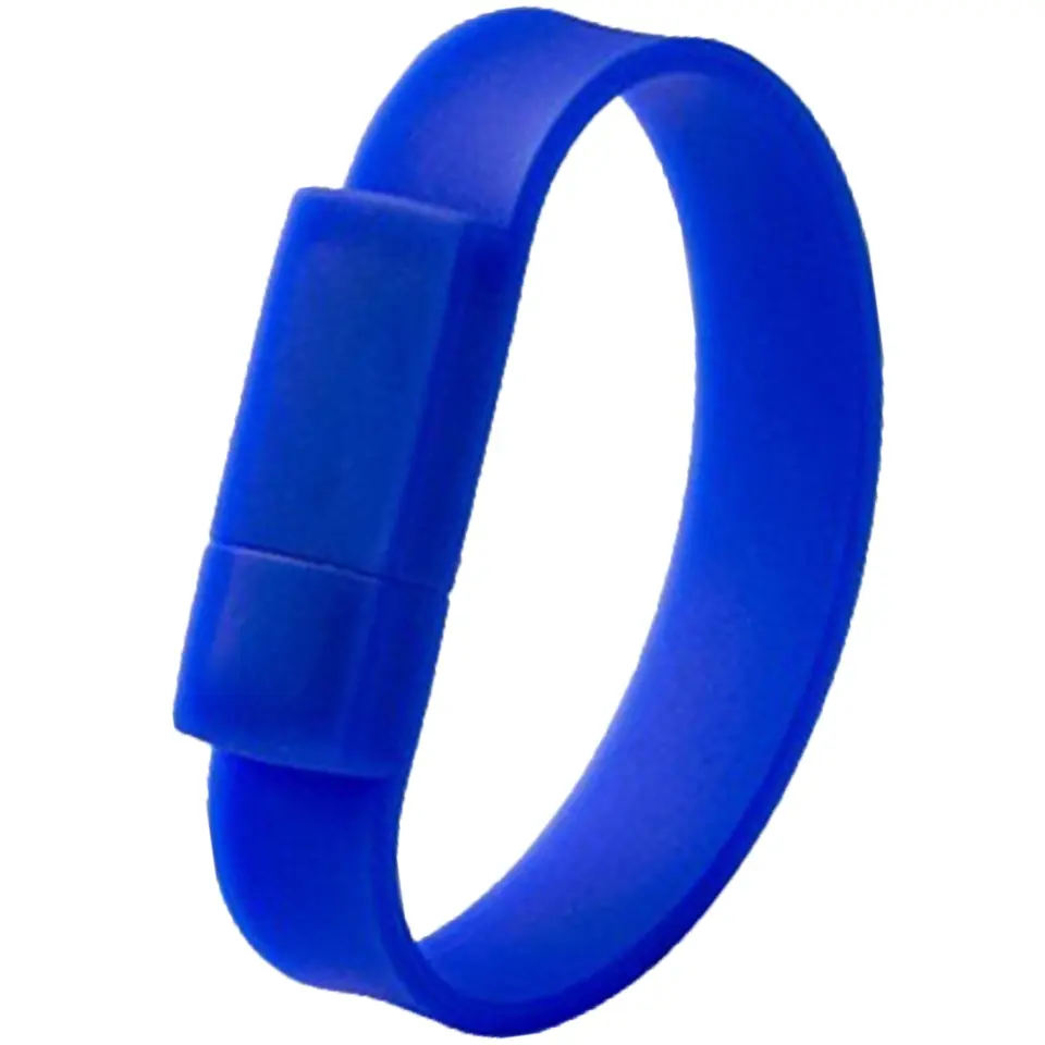 Flexible Wristband Data Storage 2