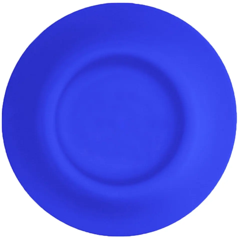 Flexible Pet Play Dish 2