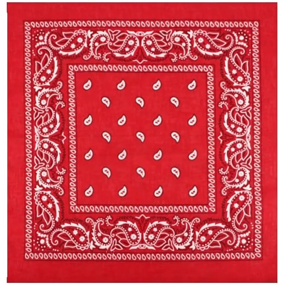Urban Paisley Pattern Polyester Bandana 2