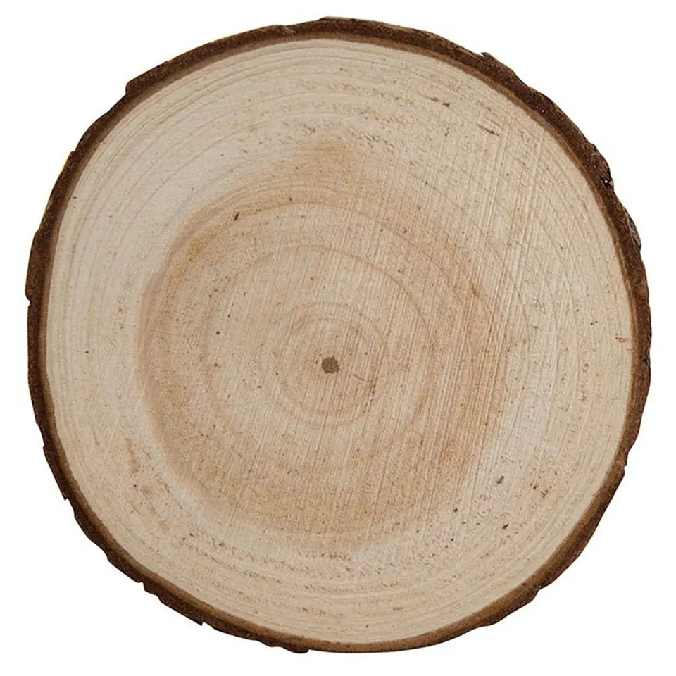 Rustic Wood Coaster 2