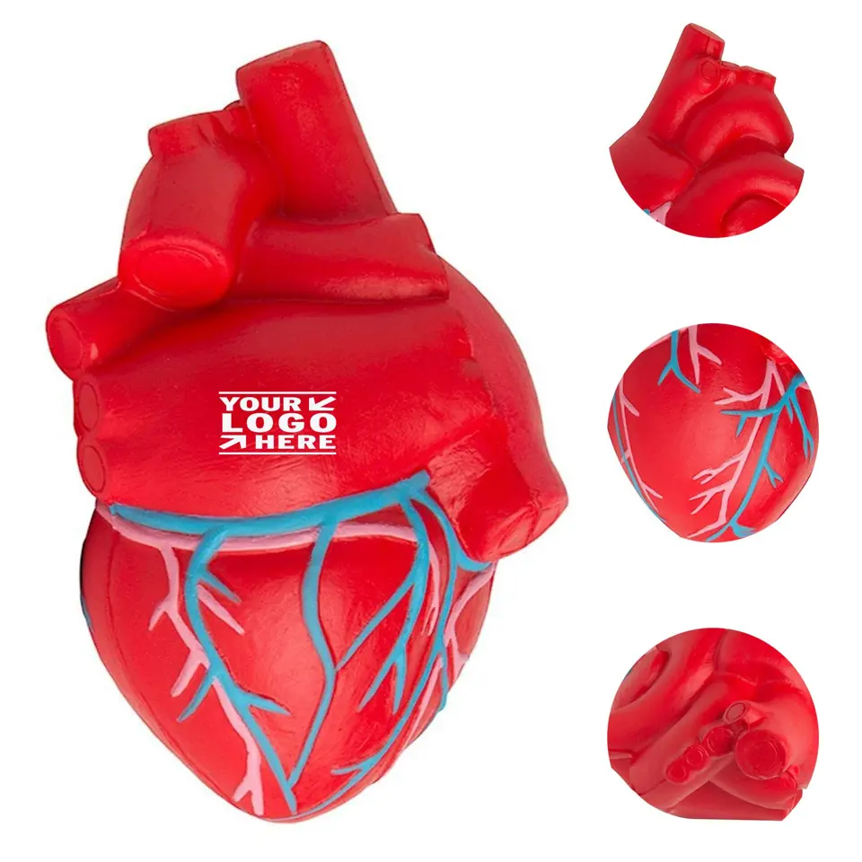 Anatomical Heart Stress Relief Squeeze Ball
