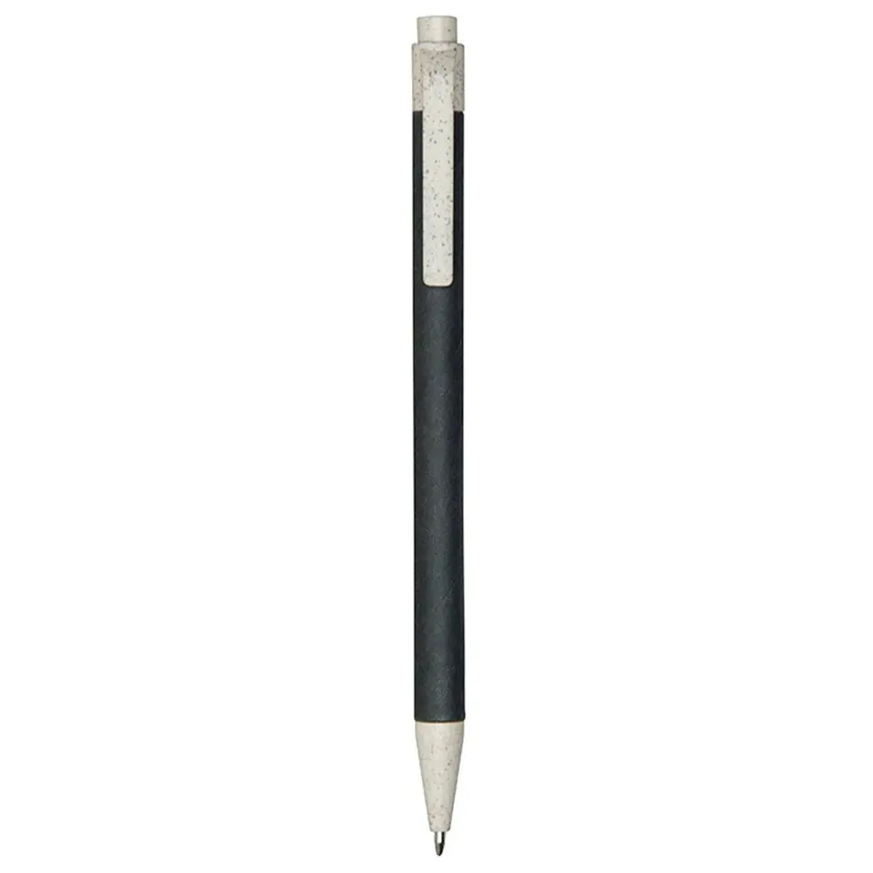 Sustainable Click Pen 2
